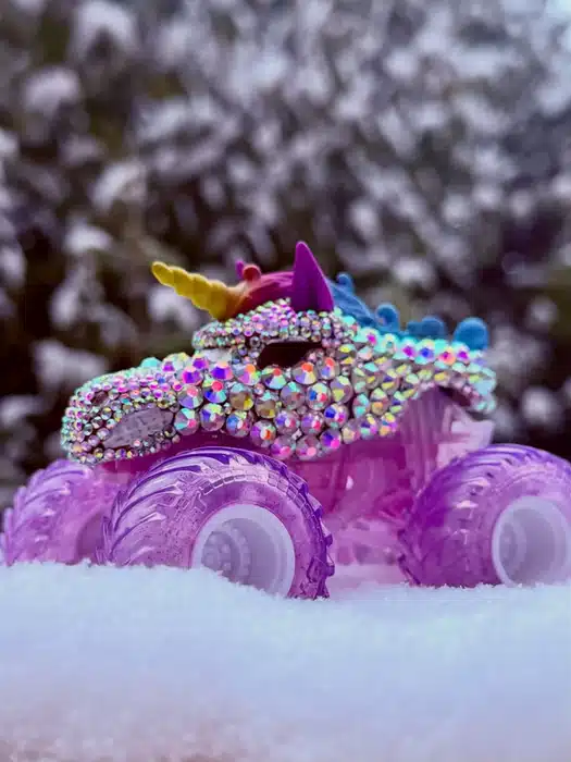 ICE QUEEN custom truck photo 1