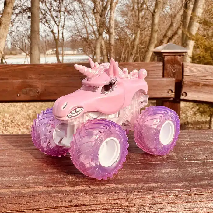 LADIES NIGHT / SPARKLE SMASH custom truck photo 18