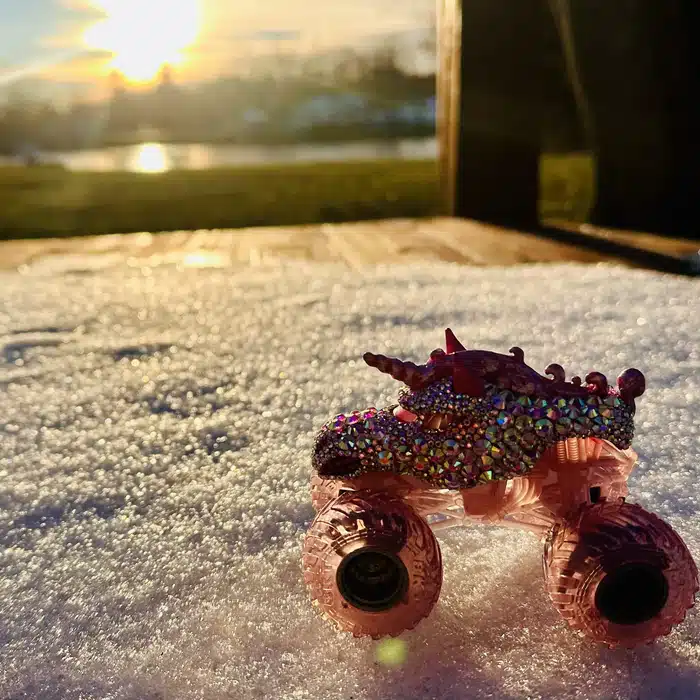 LADIES NIGHT / SPARKLE SMASH custom truck photo 31